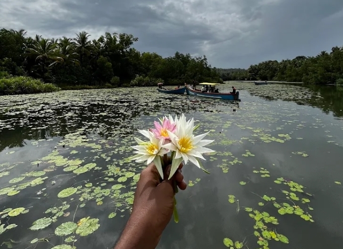 Honnavar boating - other - Photo 3