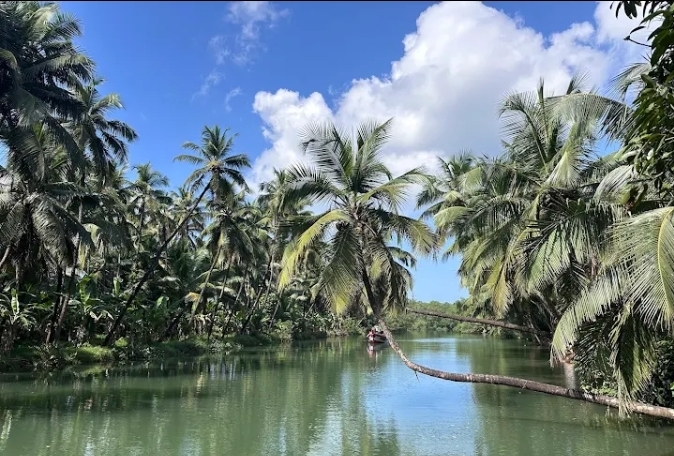 Honnavar boating - other - Photo 7