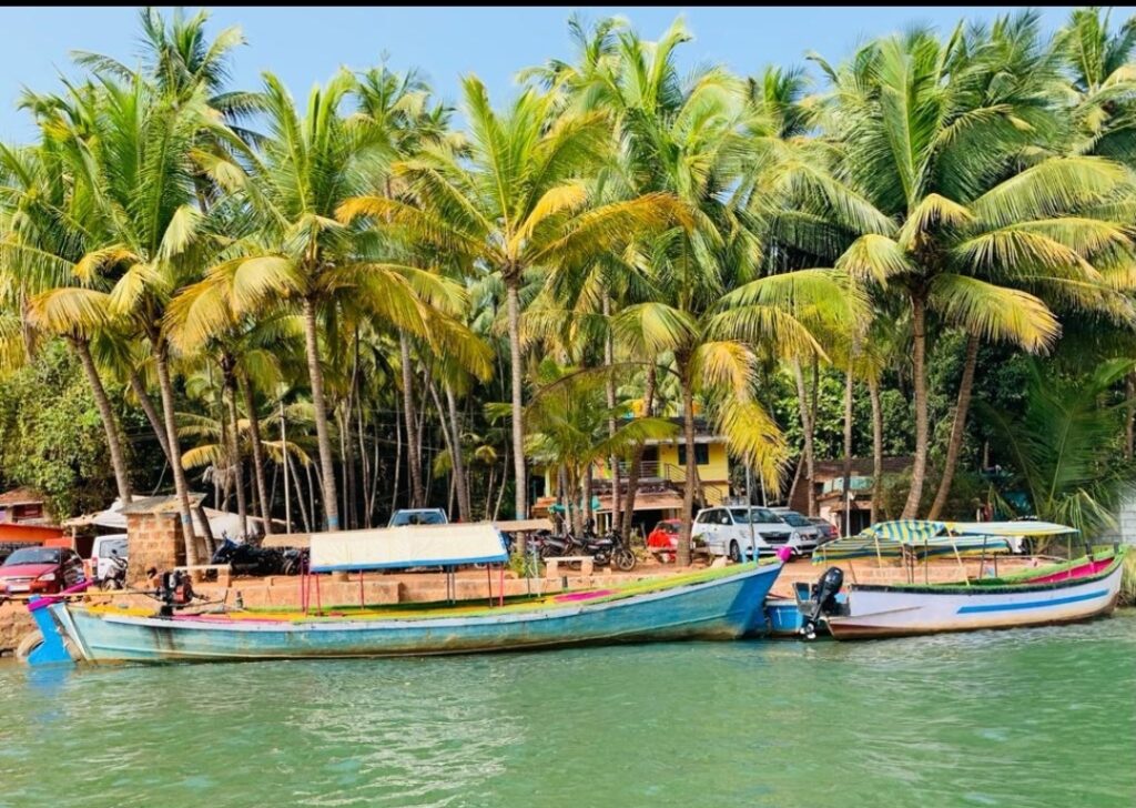 Screenshot_20241201-193047_WhatsApp