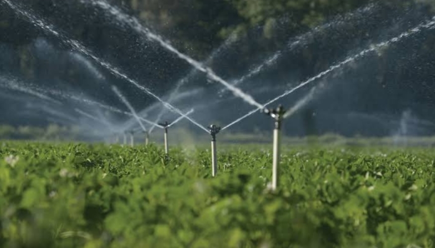 Irrigation System Dealers