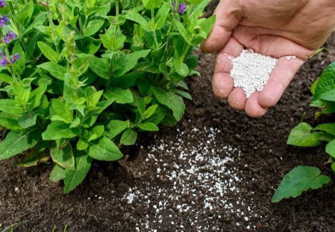 Fertilizer Manufacturers