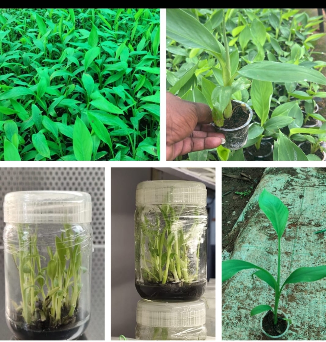 Screenshot_20251028-060425_WhatsApp