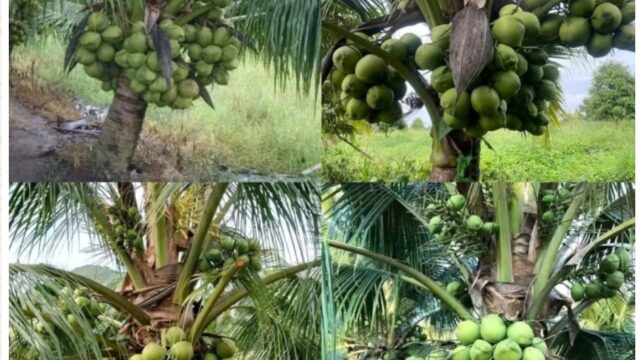 Screenshot_20251107-180657_WhatsApp